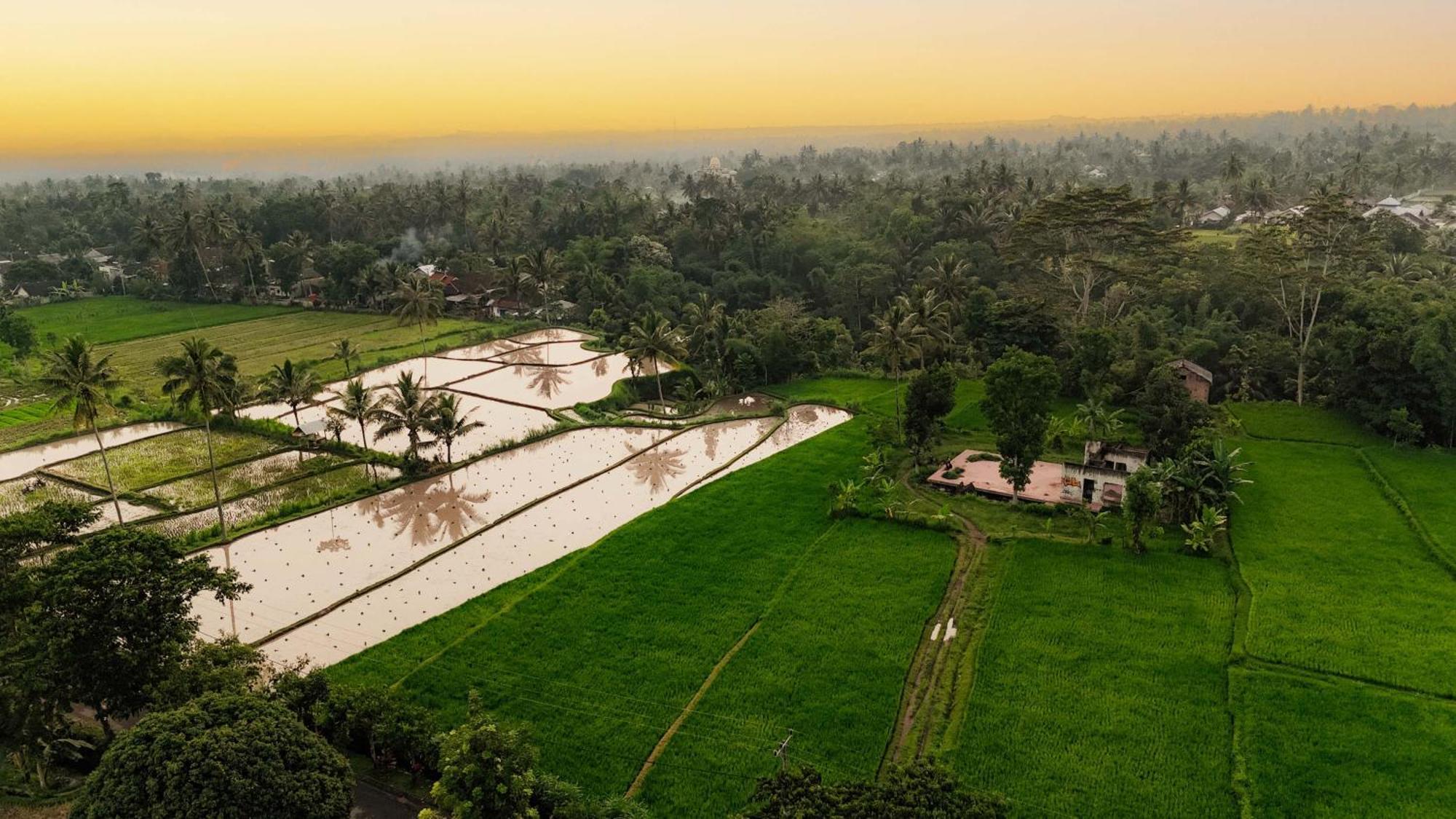 Pondok Tetebatu Cottages And Cafe Exterior foto
